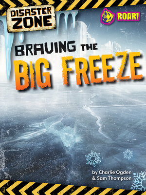 cover image of Braving the Big Freeze